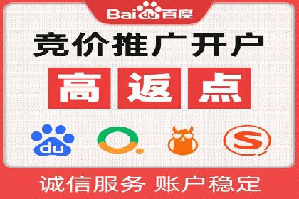 实战技巧：竞价推广案例解析与优化策略